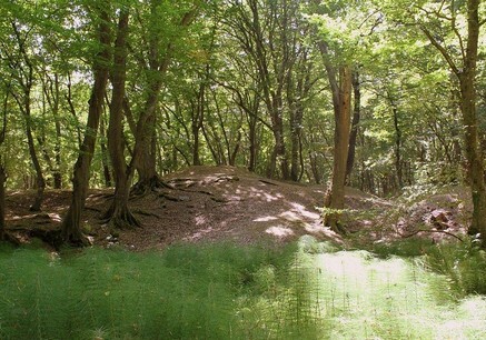 В Азербайджане создается первый на Южном Кавказе биосферный резерват