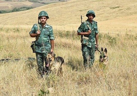 Вооруженный инцидент на азербайджано-иранской границе, убит наркокурьер