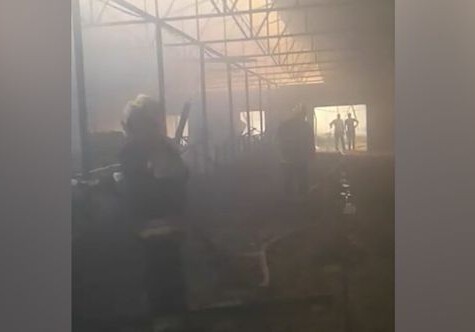 В Имишли во время пожара на ферме погибли десятки животных (Фото-Видео)