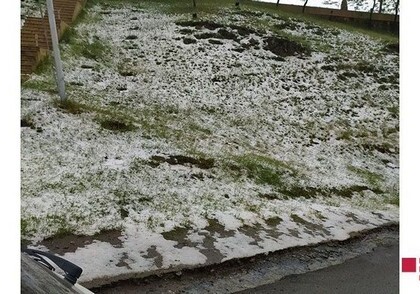 В Гядабее выпал мокрый снег (Фото)