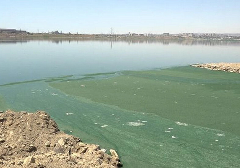 Ситуация на озере Беюкшор может привести к росту заболеваемости (Видео)
