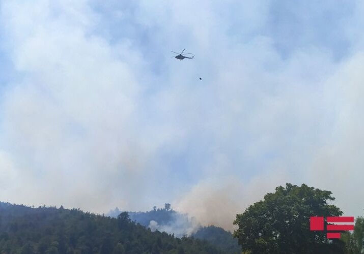 Пожар на территории национального парка «Шахдаг» в Габале потушен