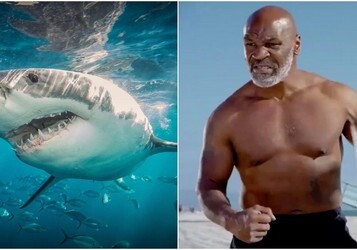 Майк Тайсон проведет поединок с белой акулой (Видео)