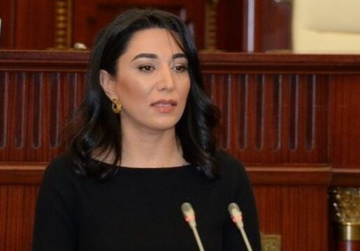 Омбудсмен направила в международные организации заявление в связи с провокациями, совершенными армянами против азербайджанцев в зарубежных странах