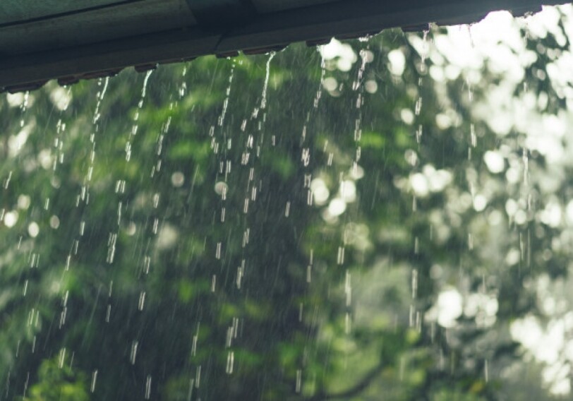 В среду в некоторых регионах прогнозируются дожди с грозами