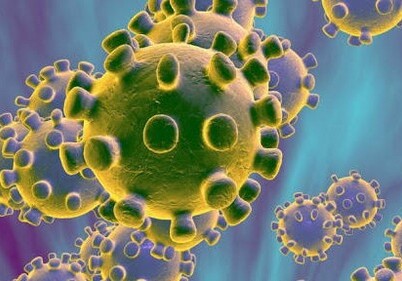 Ученые: «предок» коронавируса появился примерно 70 лет назад