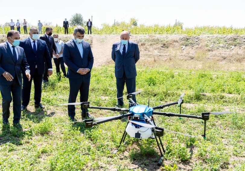 Впервые в Азербайджане кукурузные поля опрысканы с помощью дронов 