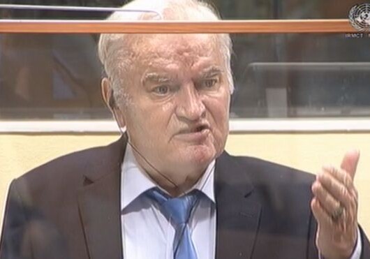 Ратко Младич  жертва НАТО и Ватикана? - Решение суда по апелляциям ожидается в следующем году