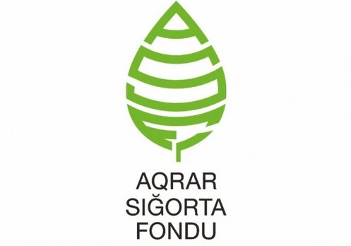 В Азербайджане внедряется механизм аграрного страхования – Создается институт независимых экспертов