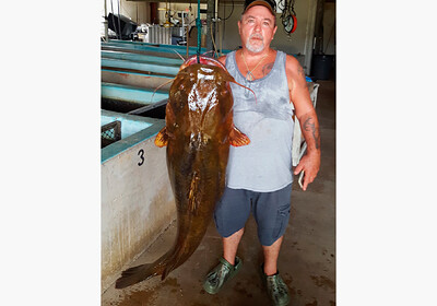Рыбак вытащил из реки рекордно большого сома весом 31,7 кг