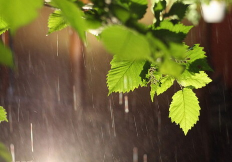 Завтра в Баку местами ожидается кратковременный дождь