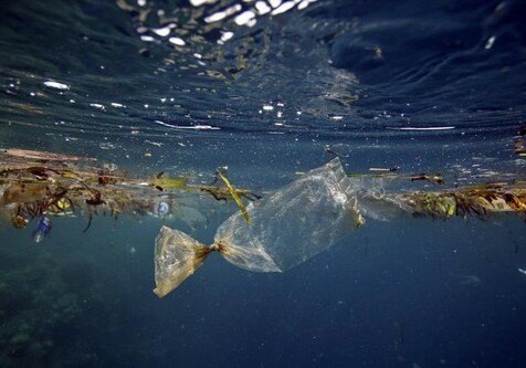 Дно океана очистят от мусора при помощи подводных дронов