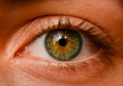Ученые заявили о методе полного восстановления зрения у слепых