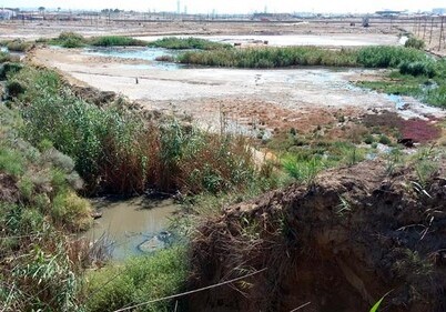 Генпрокуратура о загрязнении озера Масазыр сточными водами (Фото)