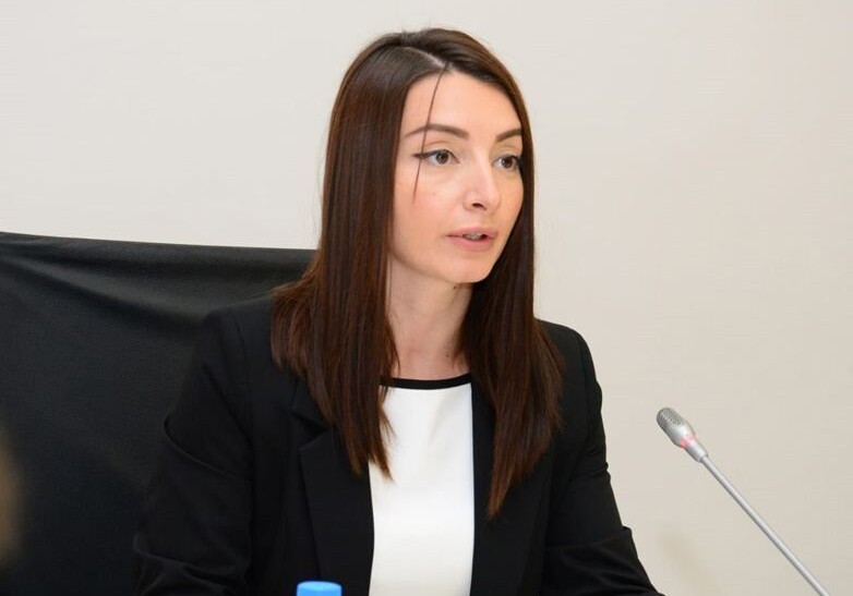 Лейла Абдуллаева: «Заявление МИД Кипра является предвзятым»