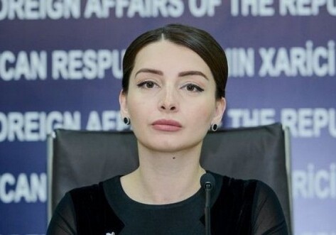 Лейла Абдуллаева: «Кто-то еще сомневается в том, что армяне умышленно обстреливают гражданских лиц?» (Фото)