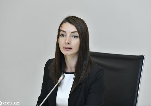 Лейла Абдуллаева сделала заявление в связи с нарушением Арменией режима прекращения огня (Видео)