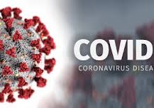Число заражений COVID-19 в мире приближается к 44 млн