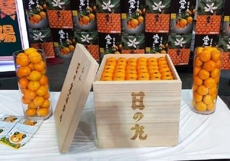 В Японии ящик мандаринов продали за миллион йен