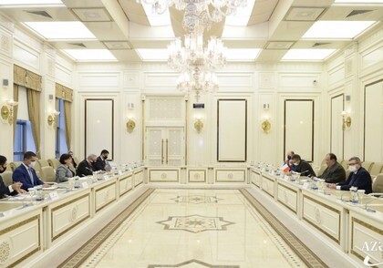 Председатель Милли Меджлиса встретилась с делегацией парламента Франции (Фото)