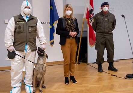 Австрийские военные научили собаку выявлять коронавирус по запаху