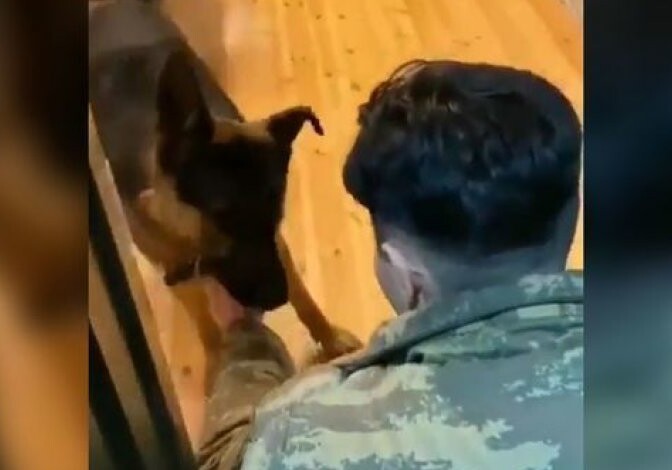 Реакция собаки на возвращение хозяина, участвовавшего в Отечественной войне (Видео)