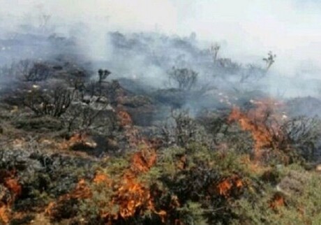 В Астаре начался пожар в горной местности