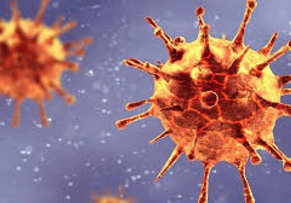 Исследования для выявления нового штамма коронавируса в Азербайджане будут проводиться на основе зарубежных методов