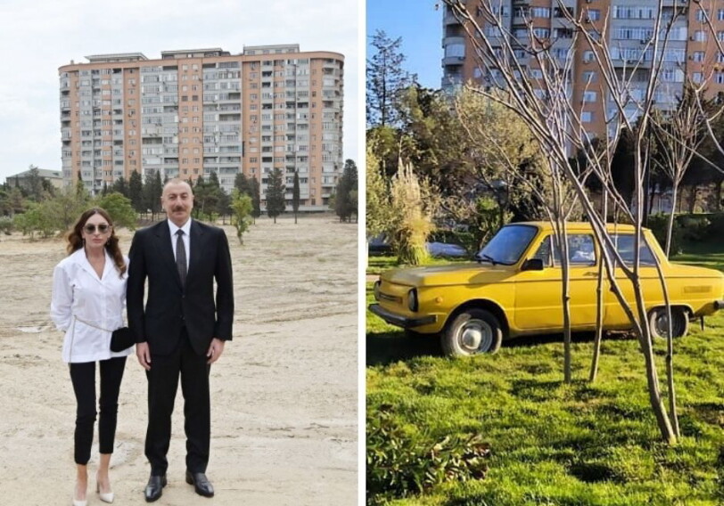 Meşə parkı: Каким будет создаваемый по инициативе Ильхама Алиева новый бакинский парк? (Фото)