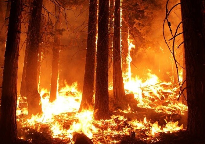 К тушению пожара в Гирканском национальном парке привлечен самолет