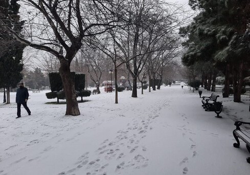 Баку засыпало снегом (Фото-Видео)