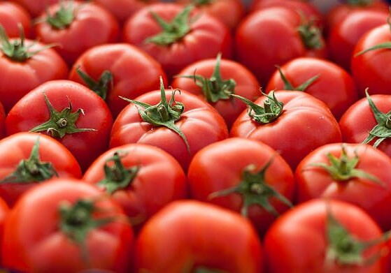 Россия запретила ввоз томатов от пяти производителей из Азербайджана