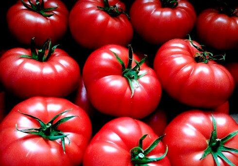 Россия и Азербайджан обсудят завтра вопрос поставки азербайджанских томатов