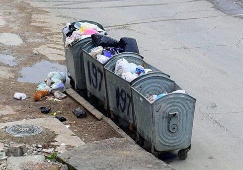 В Баку в мусорном баке обнаружен расчлененный труп женщины