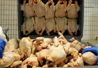 Ввоз птицы и живого скота в Азербайджан запрещен из еще трех стран