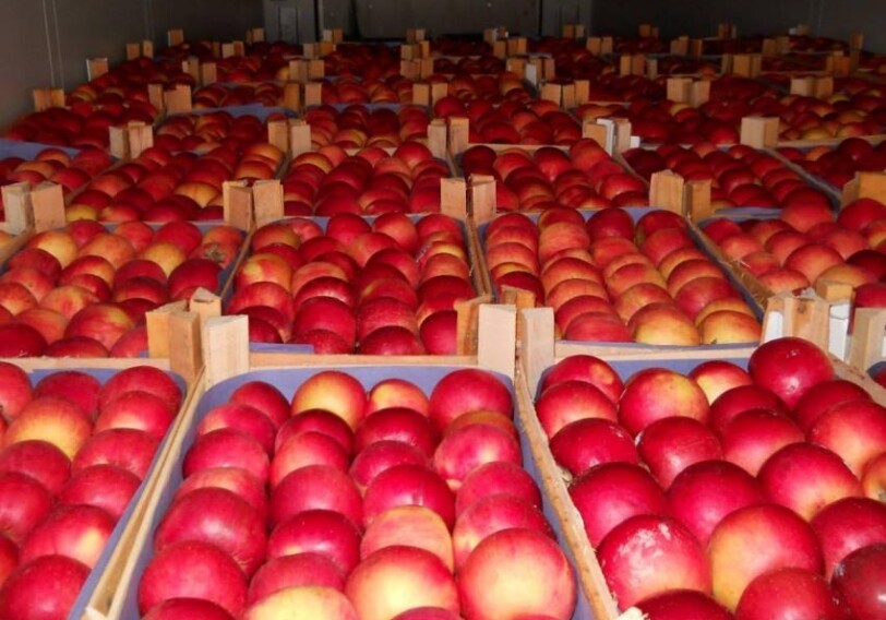 Азербайджан обсудил с Россией экспорт яблок и помидоров