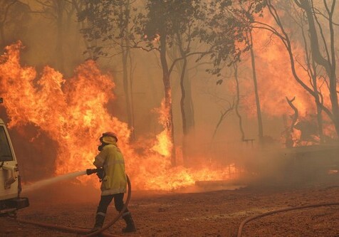 В Австралии бушуют пожары: сгорели более 80 домов 