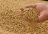 Азербайджан установил временную пошлину на экспорт пшеницы и пшеничной муки