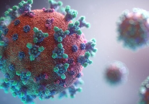 В Финляндии обнаружили новый штамм коронавируса