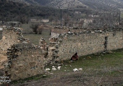 Минобороны АР показало руины села Галайчылар Агдамского района (Фото-Видео)