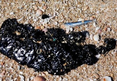 Крупнейшая экологическая катастрофа в Израиле: десятки тонн мазута изуродовали средиземноморский берег (Фото)