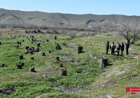 В Губадлы зарубежные дипломаты стали свидетелями экологического террора Армении (Фото)