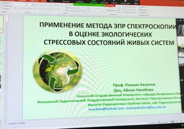 Профессор БГУ Ровшан Халилов провел экспертный семинар
