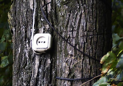 Швейцарские ученые добыли электричество из дерева