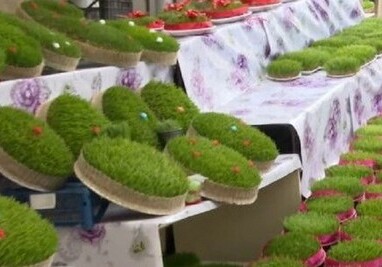 В Азербайджане семени продали за 600 манатов (Видео)