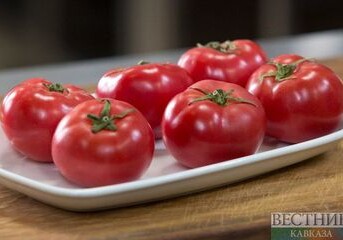 Россия продолжает открываться для томатов из Азербайджана
