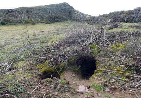 В Уэльсе кролики откопали древние артефакты эпохи мезолита (Фото)