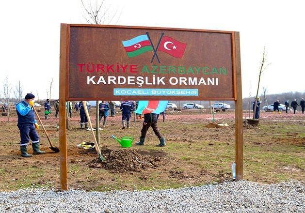 В Коджаэли заложен лес азербайджано-турецкого братства (Фото)