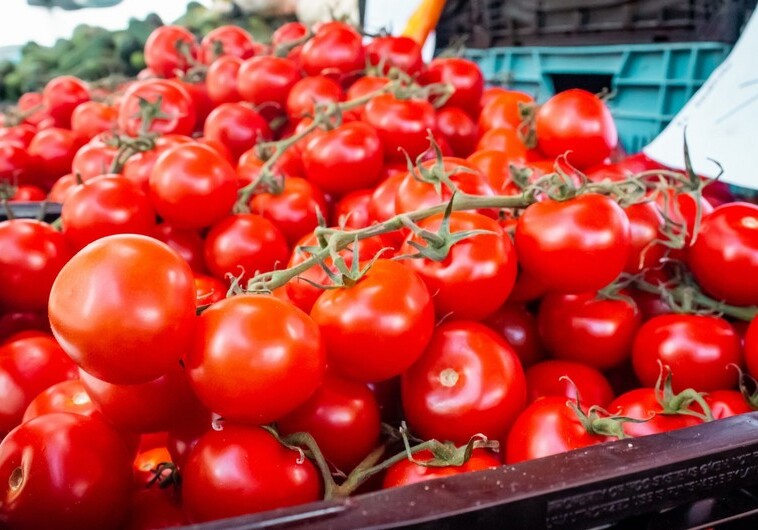 Россельхознадзор с 13 апреля разрешает ввоз томатов еще с семи предприятий Азербайджана