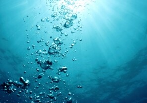 Океан продолжит терять кислород - Ученые